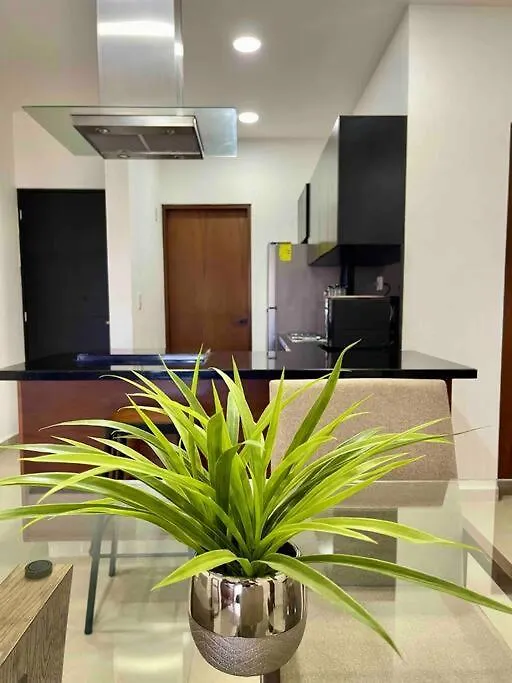 Lo Mejor En Playa Del Carmen Apartment Mexico